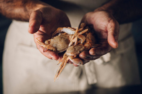La excelencia del sabor marino de la Lonja de Dénia: Denipeix.